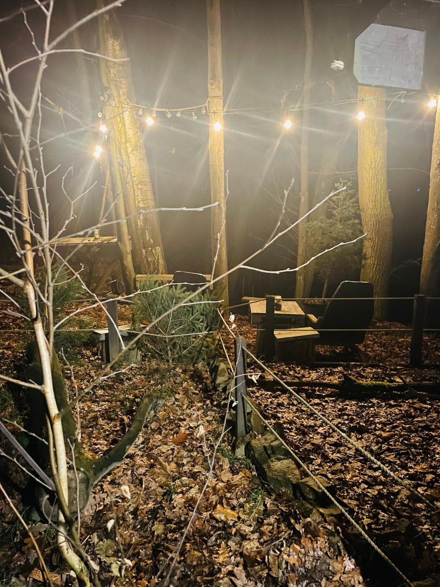 Romantyczna Chatka Pisarzowice  外观 照片