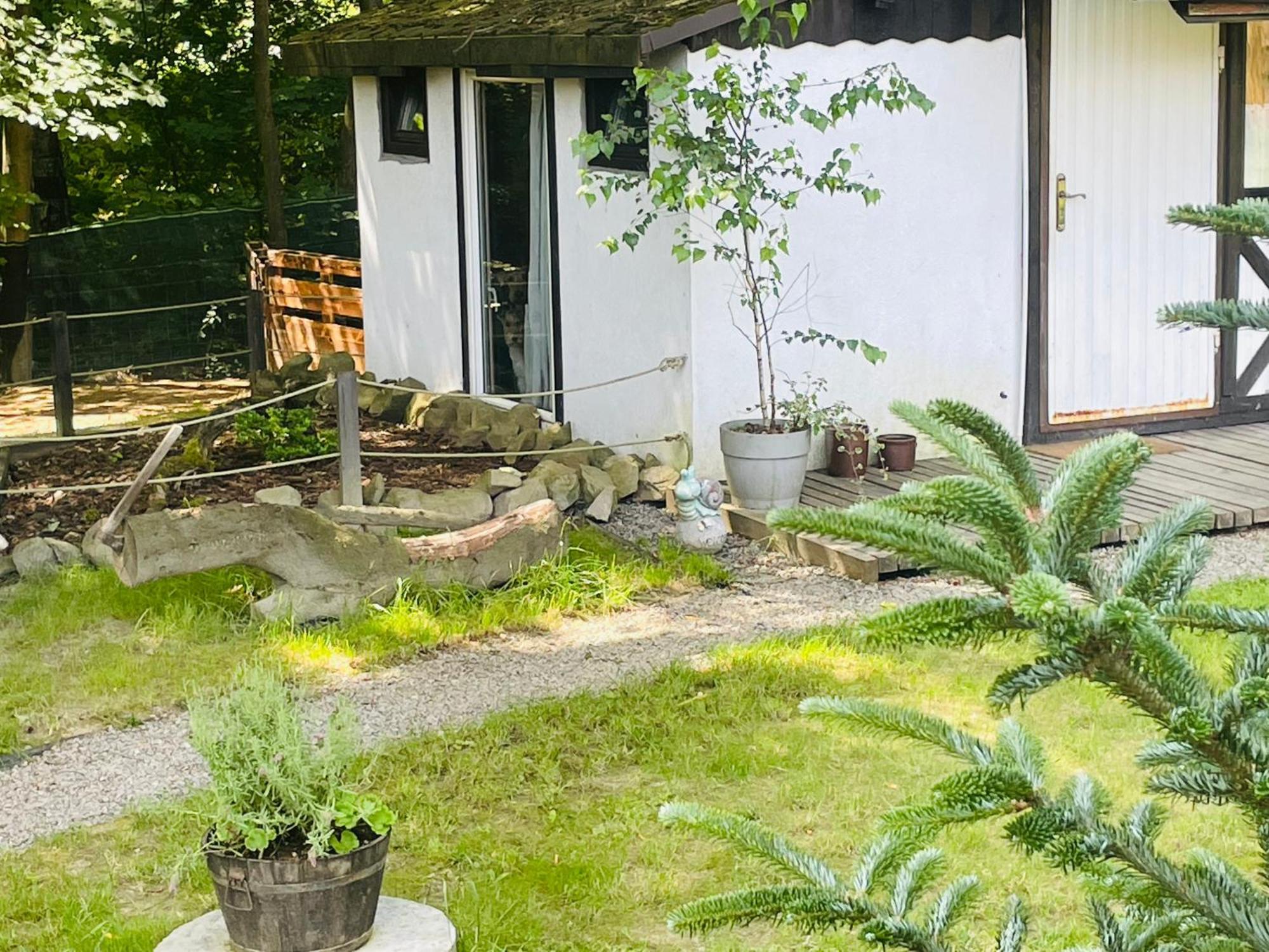 Romantyczna Chatka Pisarzowice  外观 照片
