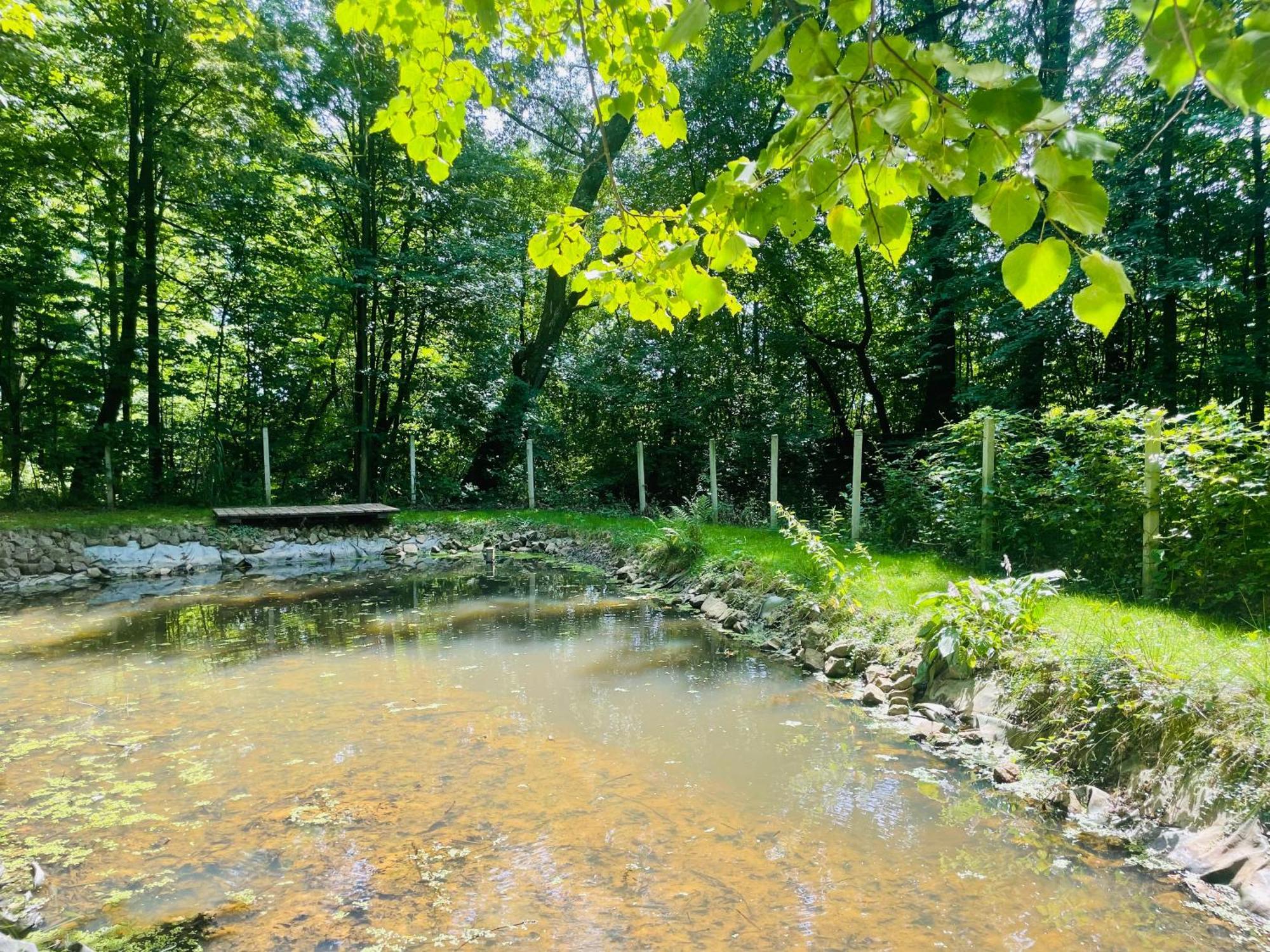 Romantyczna Chatka Pisarzowice  外观 照片