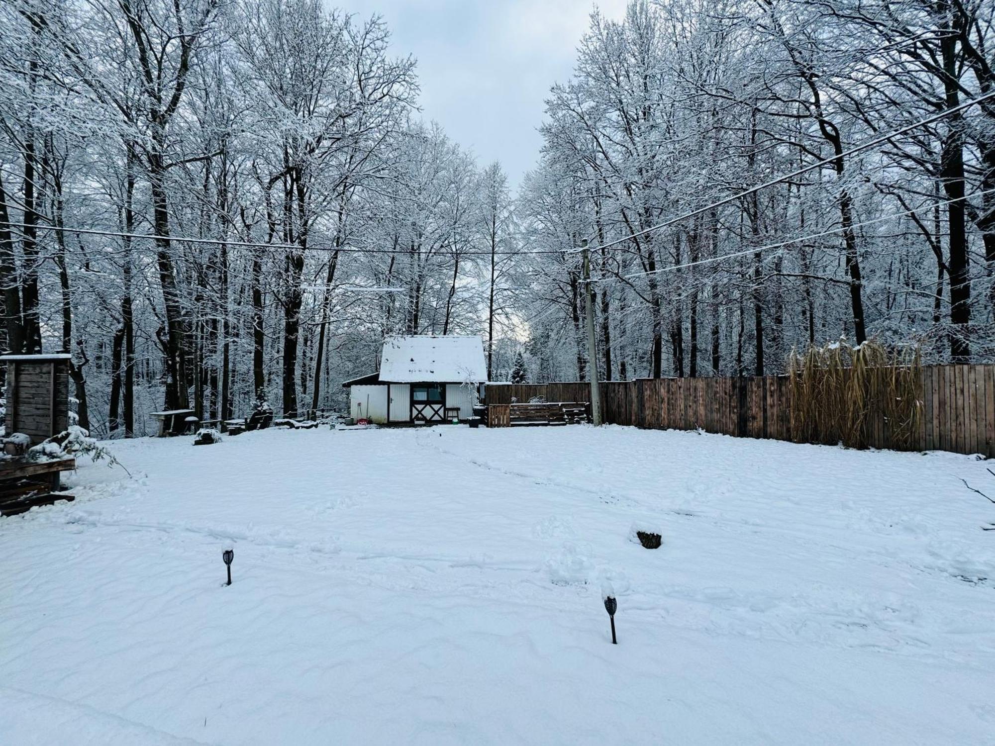 Romantyczna Chatka Pisarzowice  外观 照片
