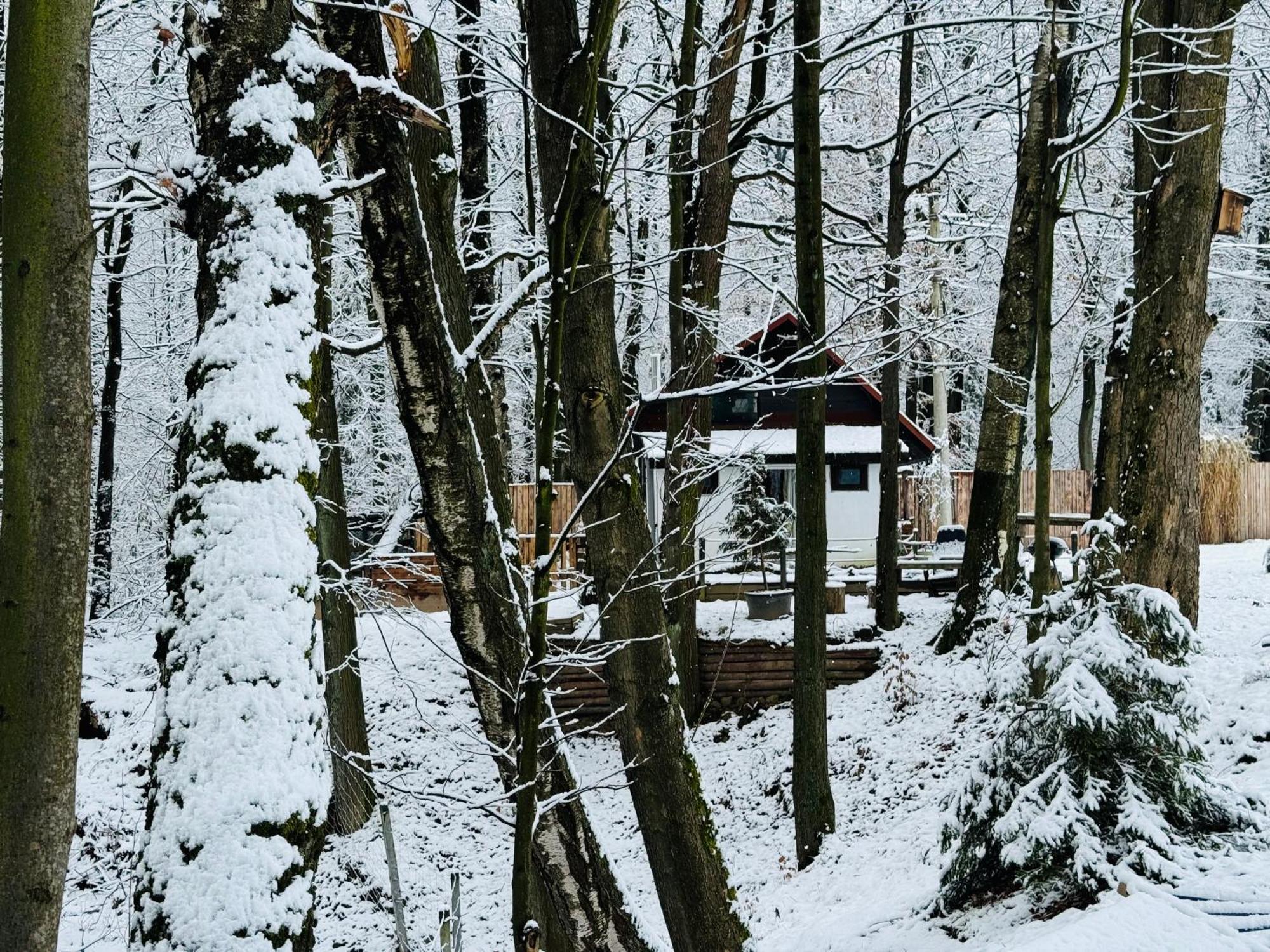 Romantyczna Chatka Pisarzowice  外观 照片